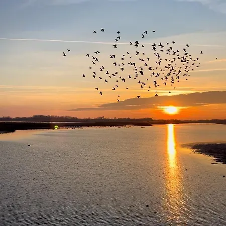 Liv Tisza Poroszlo